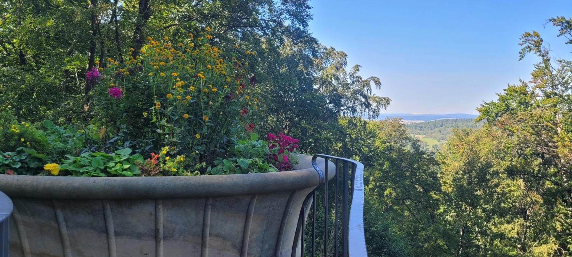 Villa Charlotte バート・リーベンシュタイン エクステリア 写真