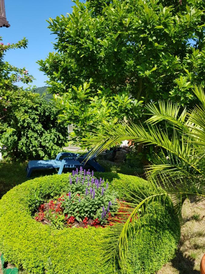 Villa Charlotte バート・リーベンシュタイン エクステリア 写真