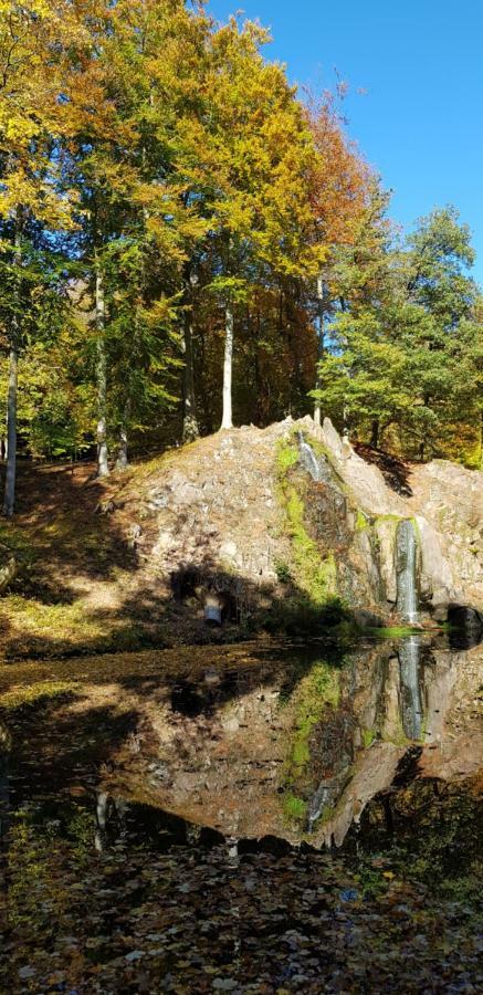 Villa Charlotte バート・リーベンシュタイン エクステリア 写真